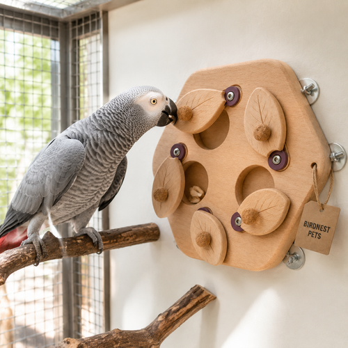 Five-Door Wooden Bird Foraging Board