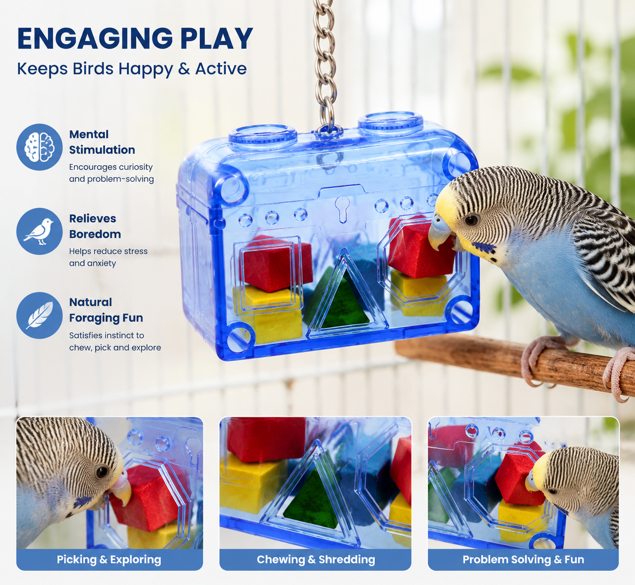 BIRDNESTPETS Treasure Chest Bird Foraging Toy - Interactive Puzzle Box for Parrots & Cockatiels - Durable Acrylic Enrichment Toy with Colorful Wooden Blocks - Mental Stimulation & Natural Chewing Activity for Small and Medium Birds