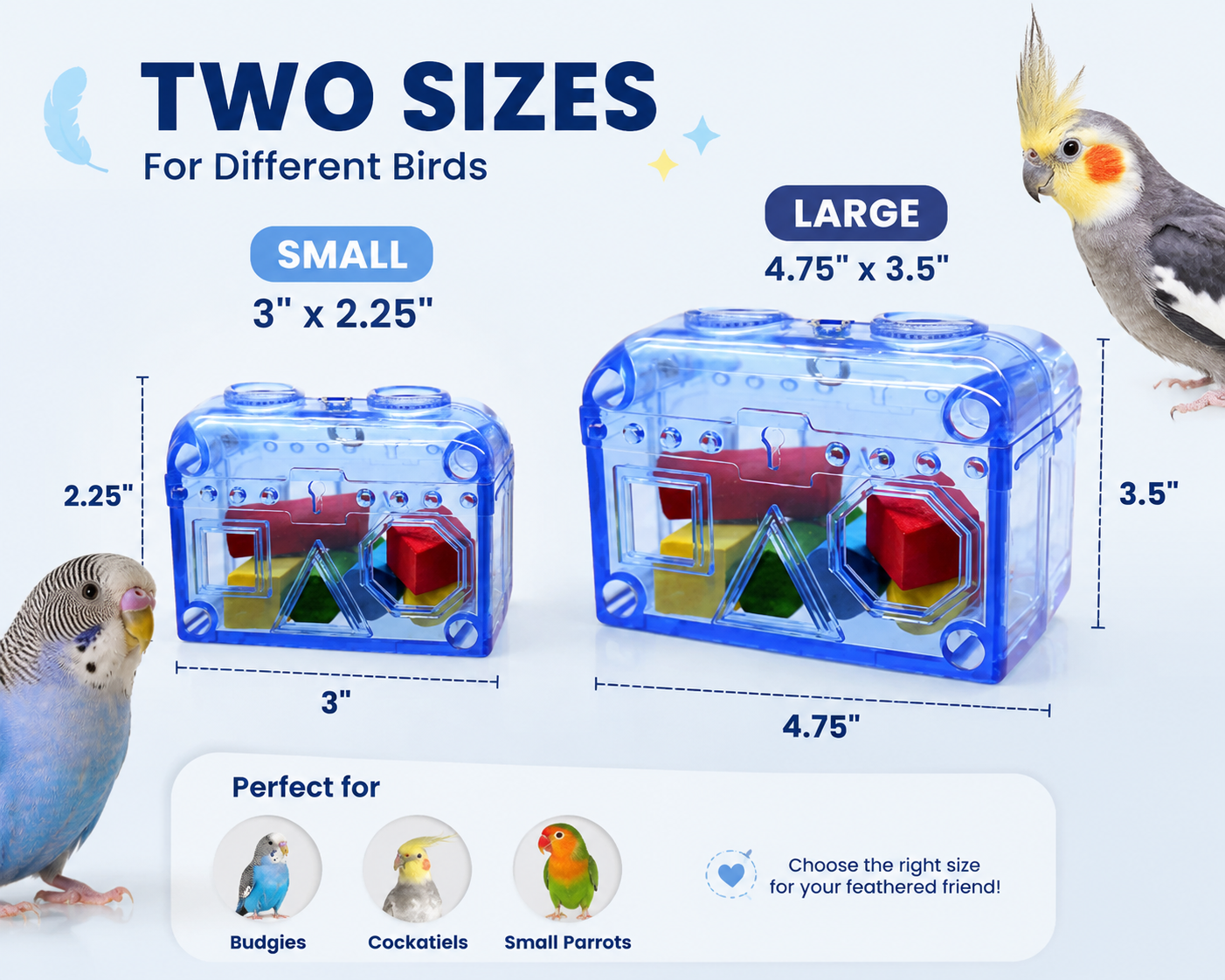 BIRDNESTPETS Treasure Chest Bird Foraging Toy - Interactive Puzzle Box for Parrots & Cockatiels - Durable Acrylic Enrichment Toy with Colorful Wooden Blocks - Mental Stimulation & Natural Chewing Activity for Small and Medium Birds