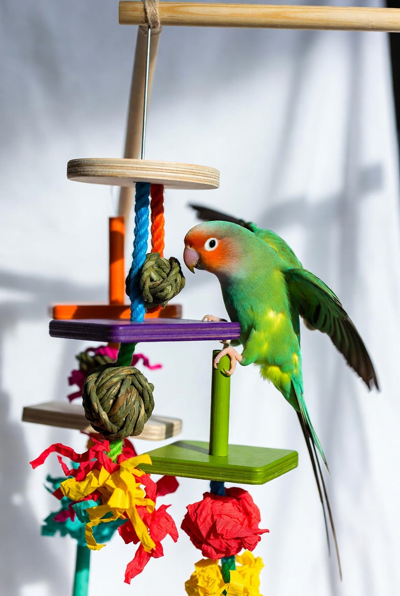 Bird Shredding & Foraging Toy – Wooden Platforms, Vine Balls & Paper Shreds