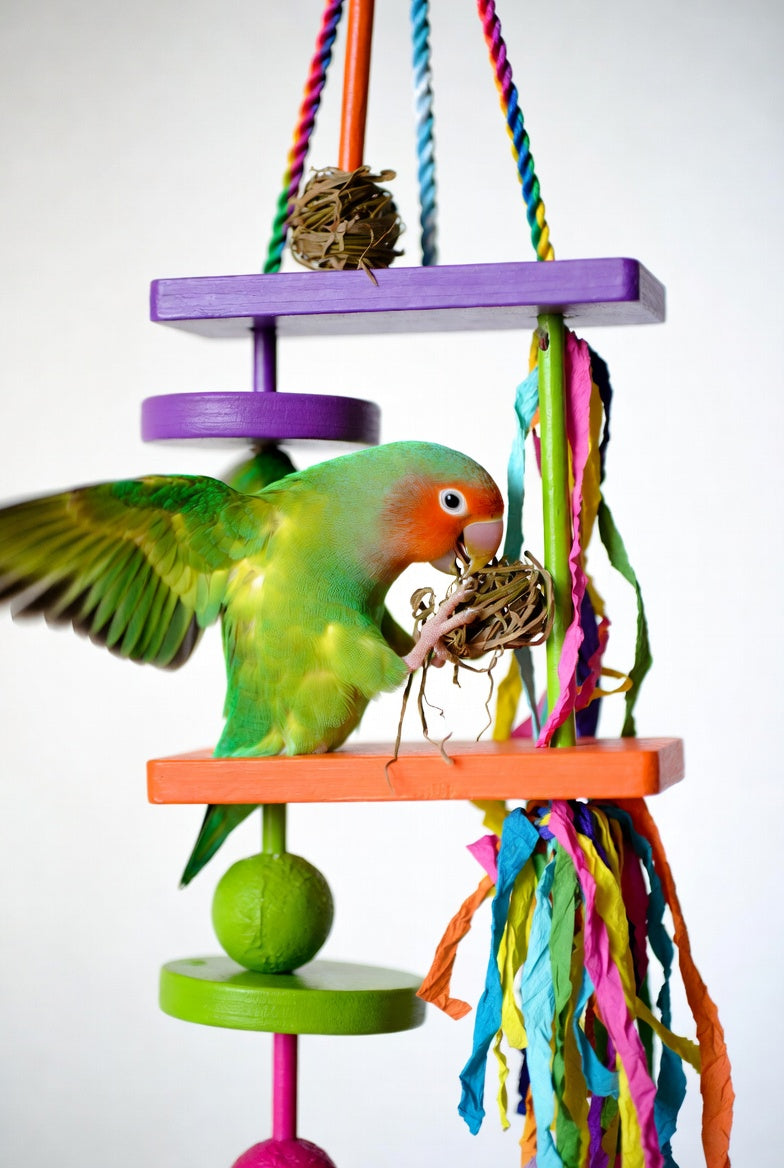 Bird Shredding & Foraging Toy – Wooden Platforms, Vine Balls & Paper Shreds