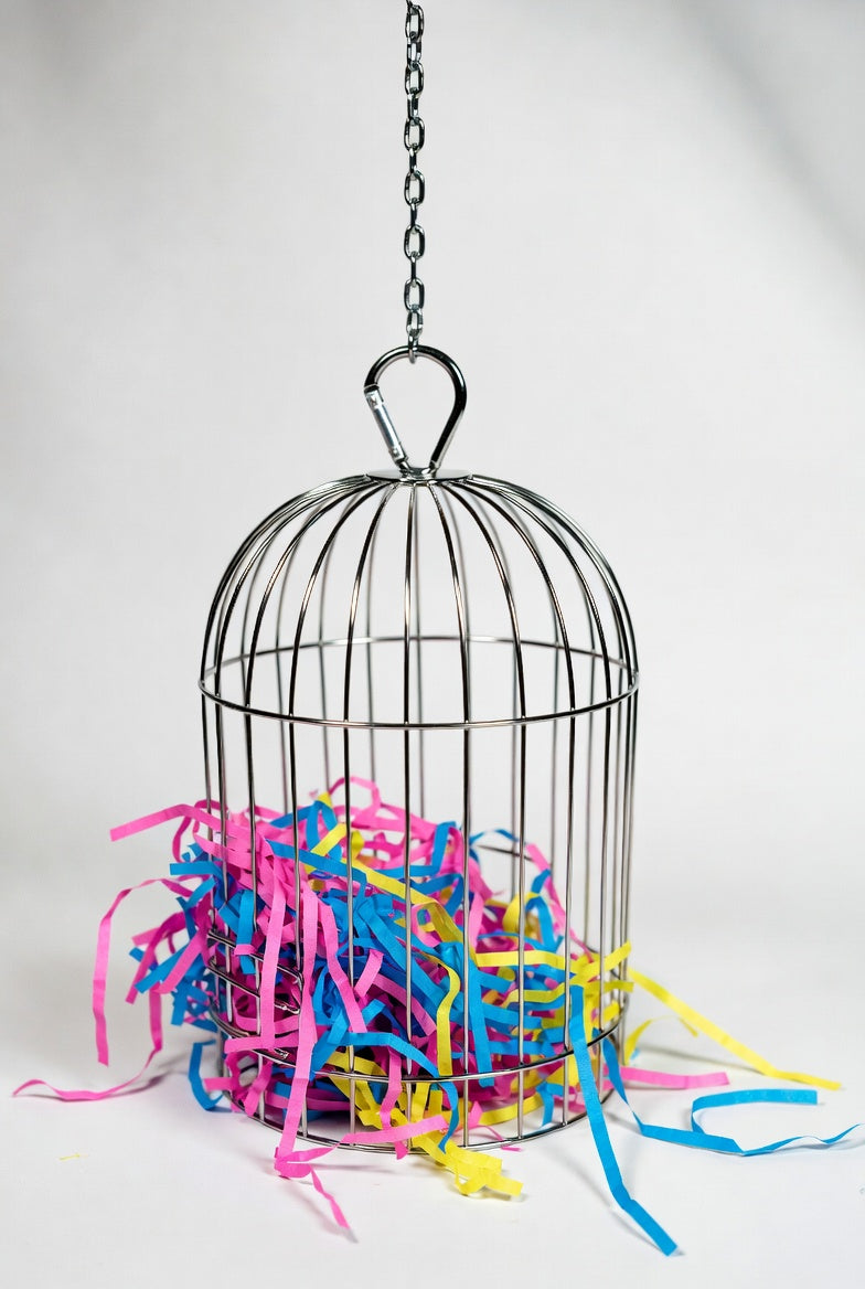 Mini Stainless Steel Foraging Cage Toy with Colorful Shred Paper for Small Birds