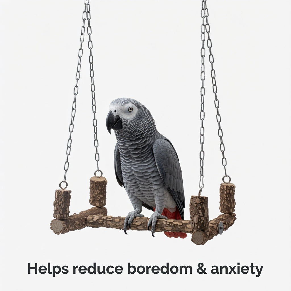Natural Wood Bird Perch Swing with Chains for Parrots & Medium Birds